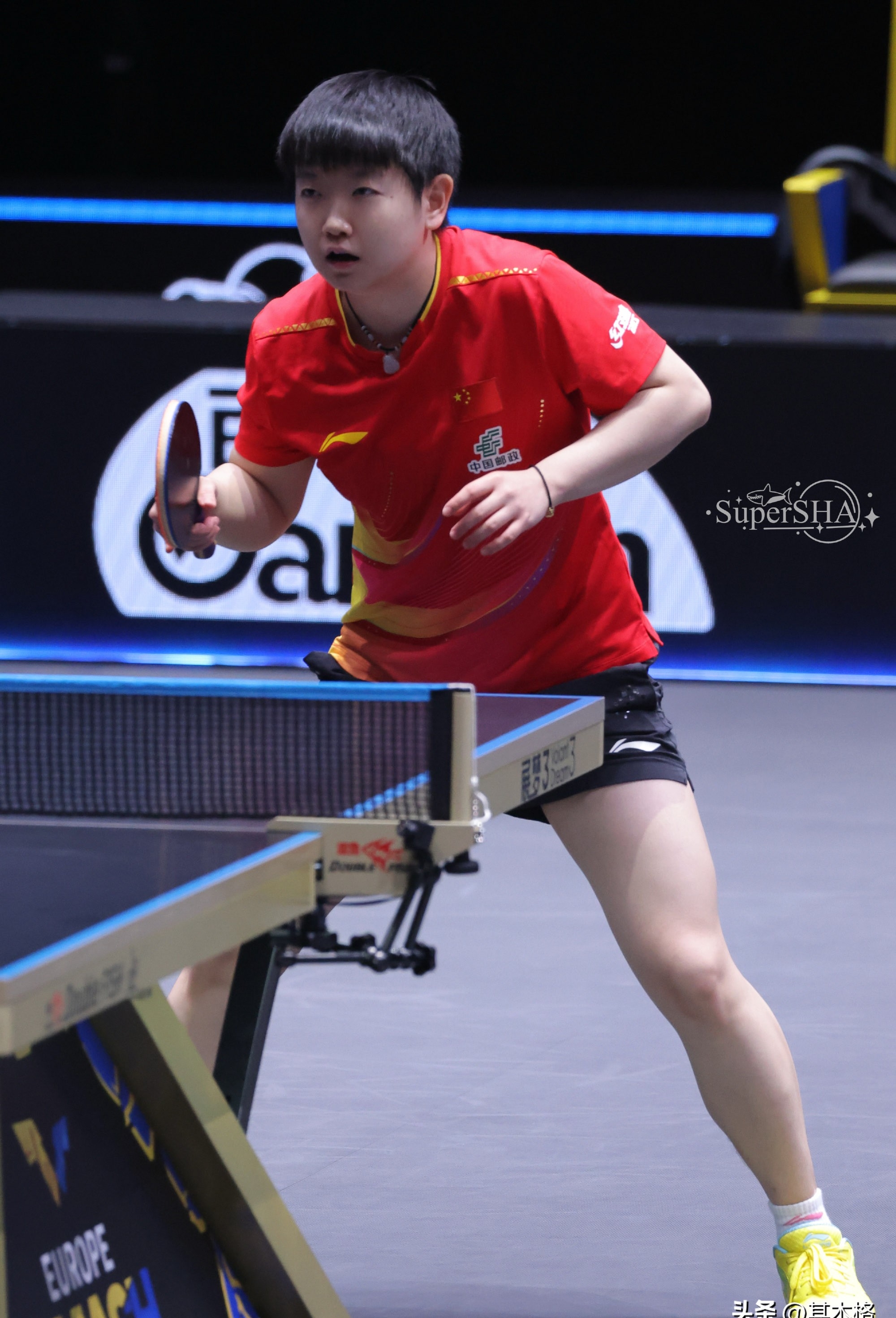 孙颖莎复出首秀出彩,波士顿凯尔特人主场绝杀达拉斯独行侠,豪取50连胜的简单介绍 孙颖莎复出首秀出彩,波士顿凯尔特人主场绝杀达拉斯独行侠,豪取50连胜的简单介绍